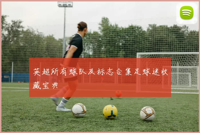 英超所有球队及标志合集足球迷收藏宝典