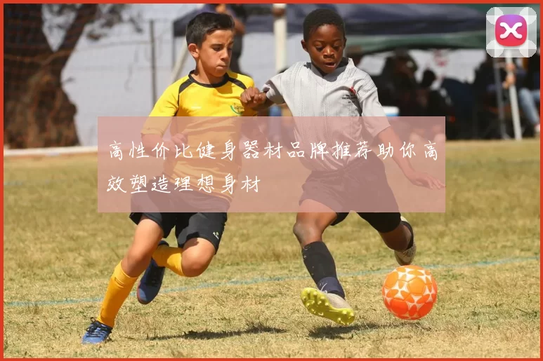 高性价比健身器材品牌推荐助你高效塑造理想身材