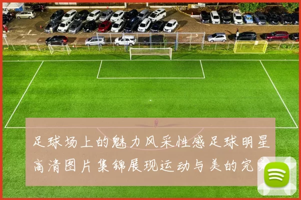 足球场上的魅力风采性感足球明星高清图片集锦展现运动与美的完美结合