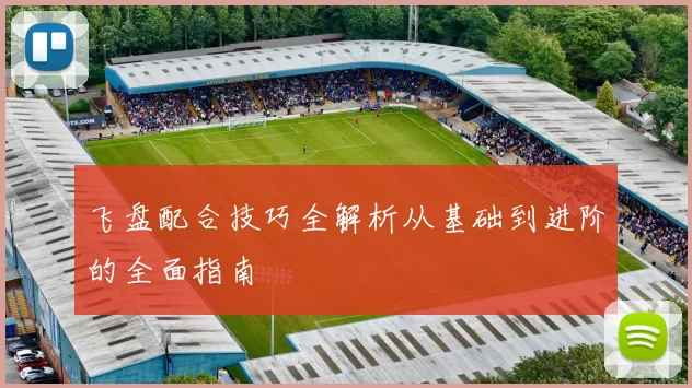 飞盘配合技巧全解析从基础到进阶的全面指南