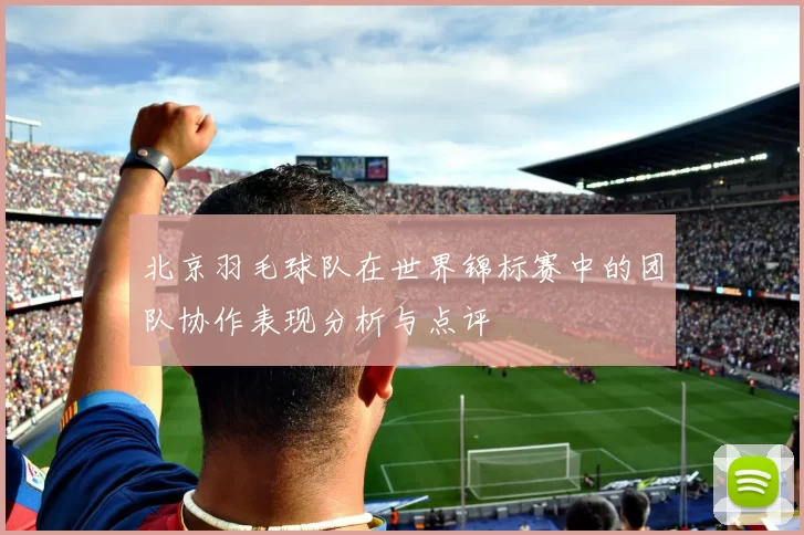 北京羽毛球队在世界锦标赛中的团队协作表现分析与点评