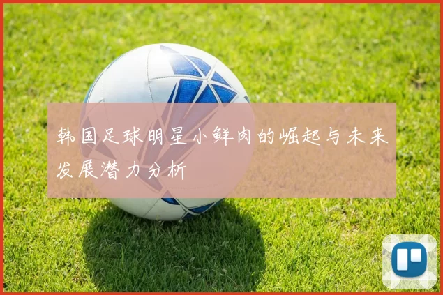 韩国足球明星小鲜肉的崛起与未来发展潜力分析